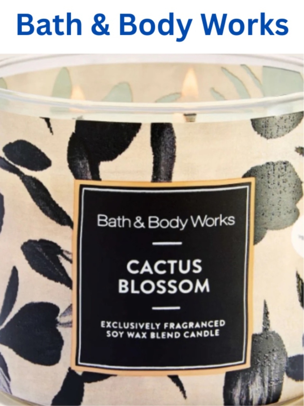 Bath & Body Works 3 Wick Candle - NWT - Cactus Blossom